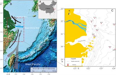 Pore density of the benthic foraminiferal test responded to the hypoxia off the Changjiang estuary in the East China Sea